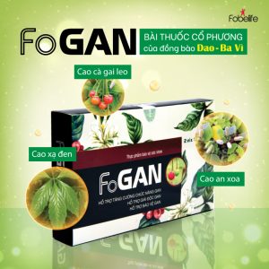 Viên Uống Cà Gai Leo Thanh Nhiệt Giải Độc Gan Tăng Cường Chức Năng Gan FOGAN