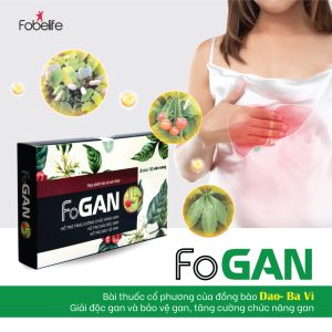 Viên Uống Cà Gai Leo Thanh Nhiệt Giải Độc Gan Tăng Cường Chức Năng Gan FOGAN - Hộp 20 viên